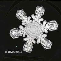 Bentley Snow Crystal Collection