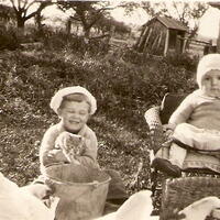 Two boys and chickens outside