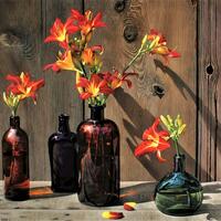 Daniel K. Tennant Art Collection