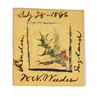 William N. Weeden Color Printing Manuscript 1886