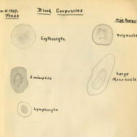 Donald S. Childs MD Papers