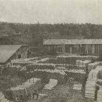 Emporium Lumber Company Photograph Collection