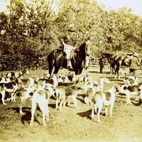 Genesee Valley Hunt
