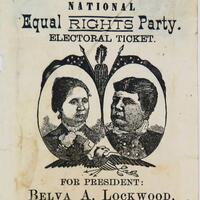 New York State Women's Suffrage Exhibition Collection