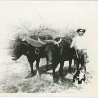 Farmer at work