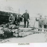 Caroline Logging photo