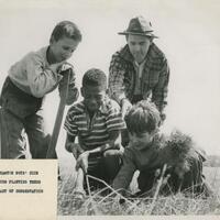 Binghamton Boys Club Planting Trees
