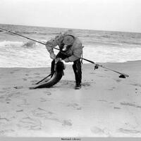 Montauk Fishing Collection