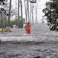 Hurricane Irene Collection