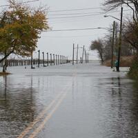 Hurricane Sandy Collection
