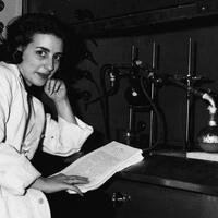 Stony Brook University Archives Digital Collection