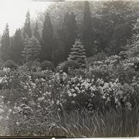 Killenworth Estate Garden c. 1918 (George Dupont Pratt)