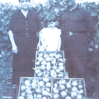 Town of Volney Scrapbooks