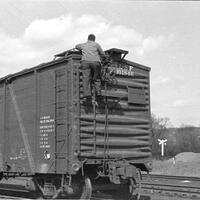 David Marcham Photograph Collection