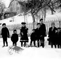 W.S. Teator Glass Plate Negative Collection