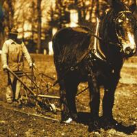Agriculture