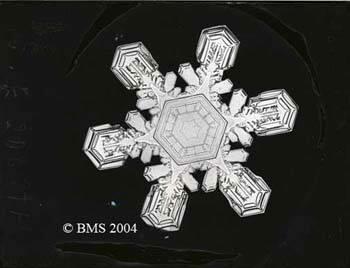 Bentley Snow Crystal Collection
