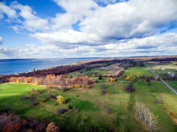 Homes and Farms near Cayuga Lake