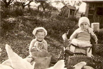 Two boys and chickens outside