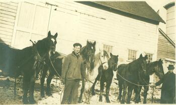 Donnan Farm Galway NY