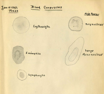 Donald S. Childs MD Papers