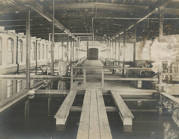 Ticonderoga Pulp and Paper Company Photograph Collection
