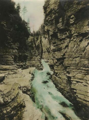George Whitfield Butts Photograph Collection