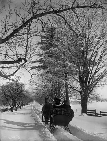 Verne Morton Photograph Collection