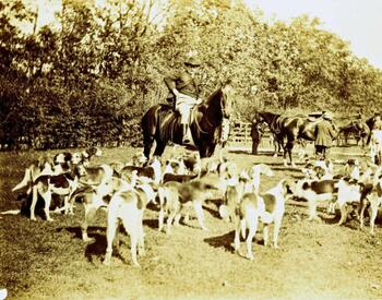 Genesee Valley Hunt