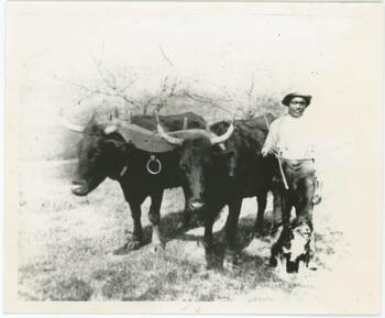 Farmer at work