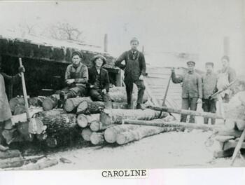 Caroline Logging photo