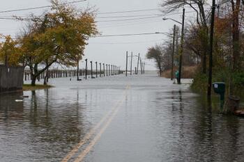 Hurricane Sandy Collection