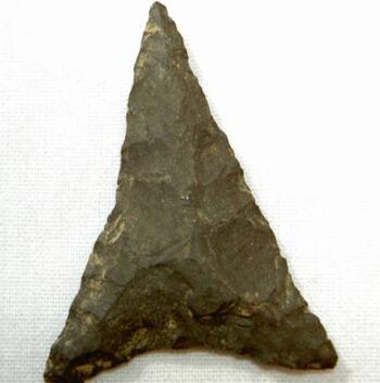 Before Hudson: 8,000 Years of Native American History and Culture