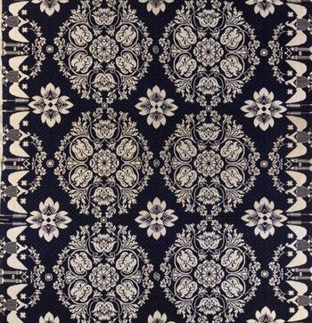 Binary Visions: 19th Century Woven Coverlets