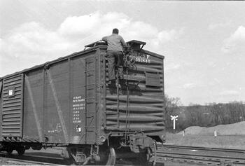 David Marcham Photograph Collection