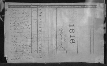 1816 Partial Buffalo Tax Record