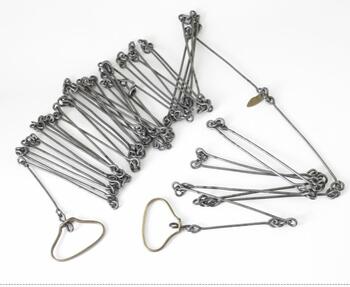 Surveyor's Chain_0.JPG