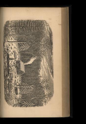 woodcut from The Pioneer Settler upon the Holland Land Purchase