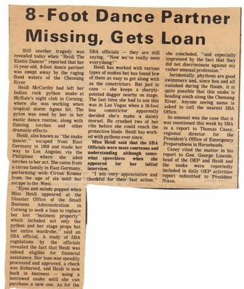 article about a missing python