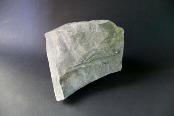specimen of Bertie dolostone