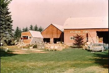 damage at the Wyldwyn Farm in Big Flats
