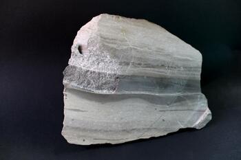 specimen of Camillus shale and dolostone