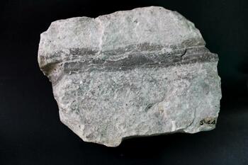 Camillus shale