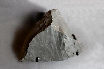 a piece of coal