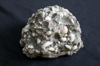 conglomerate