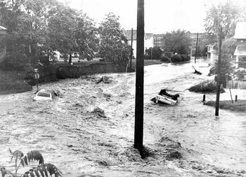 flooded neighborhood in Elmira with cars