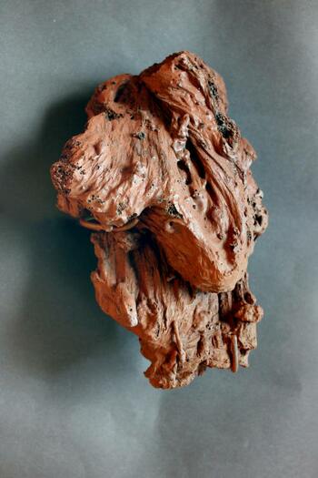a piece of hardened lava