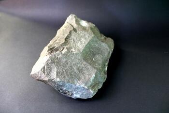 specimen of Lockport dolostone