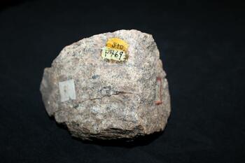 micaceous quartzite