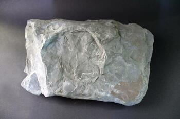 Neagha shale